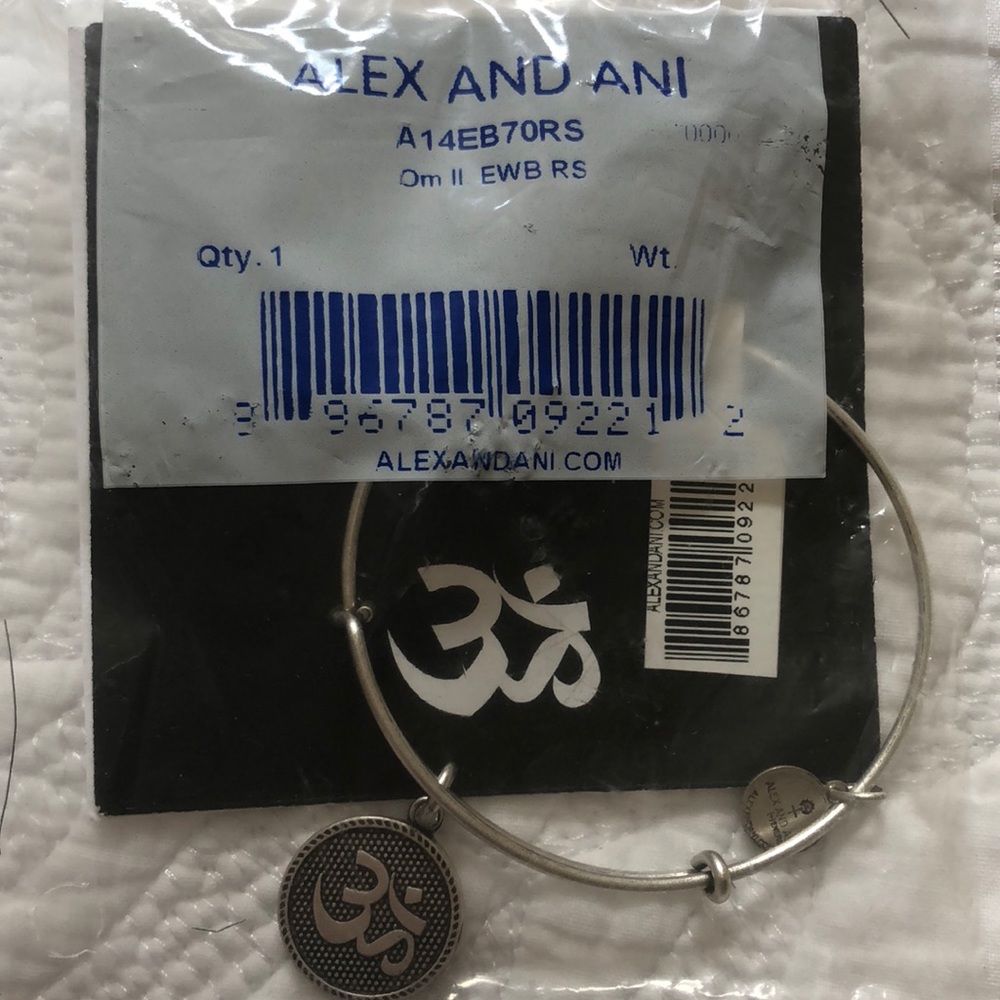 Alex and Ani Om II in silver